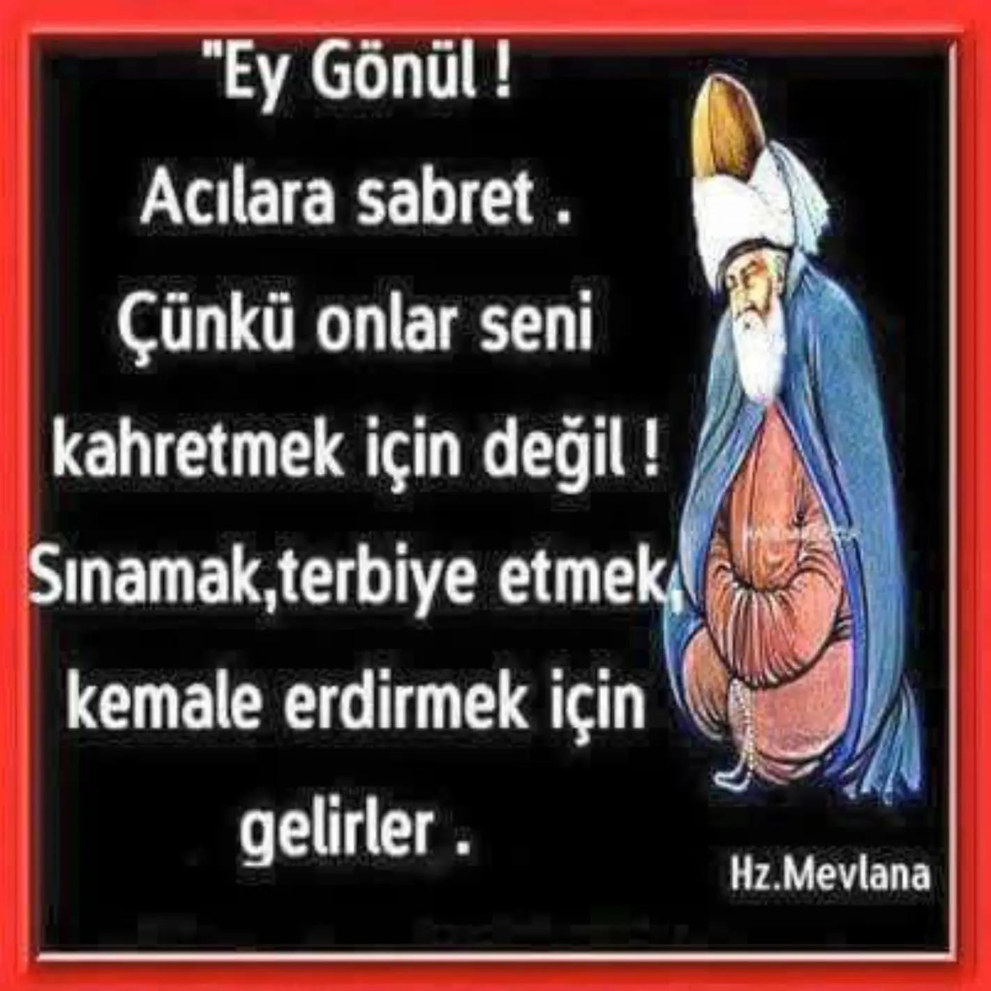 @karadayı