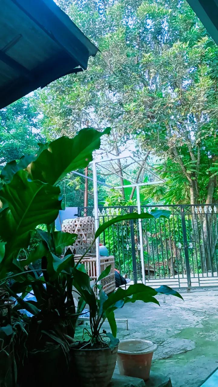 @bundabohay02