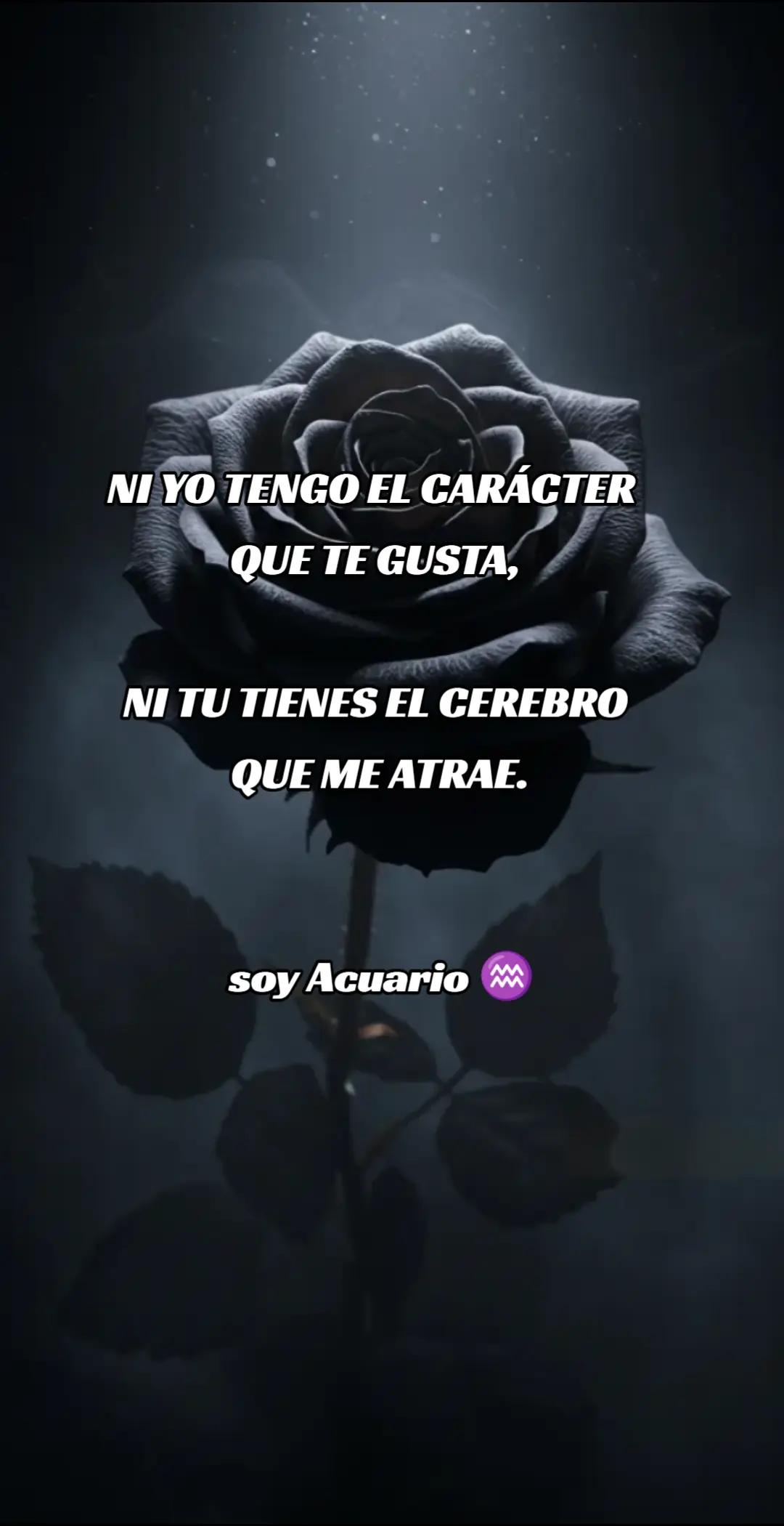 @QullaquitaDelia