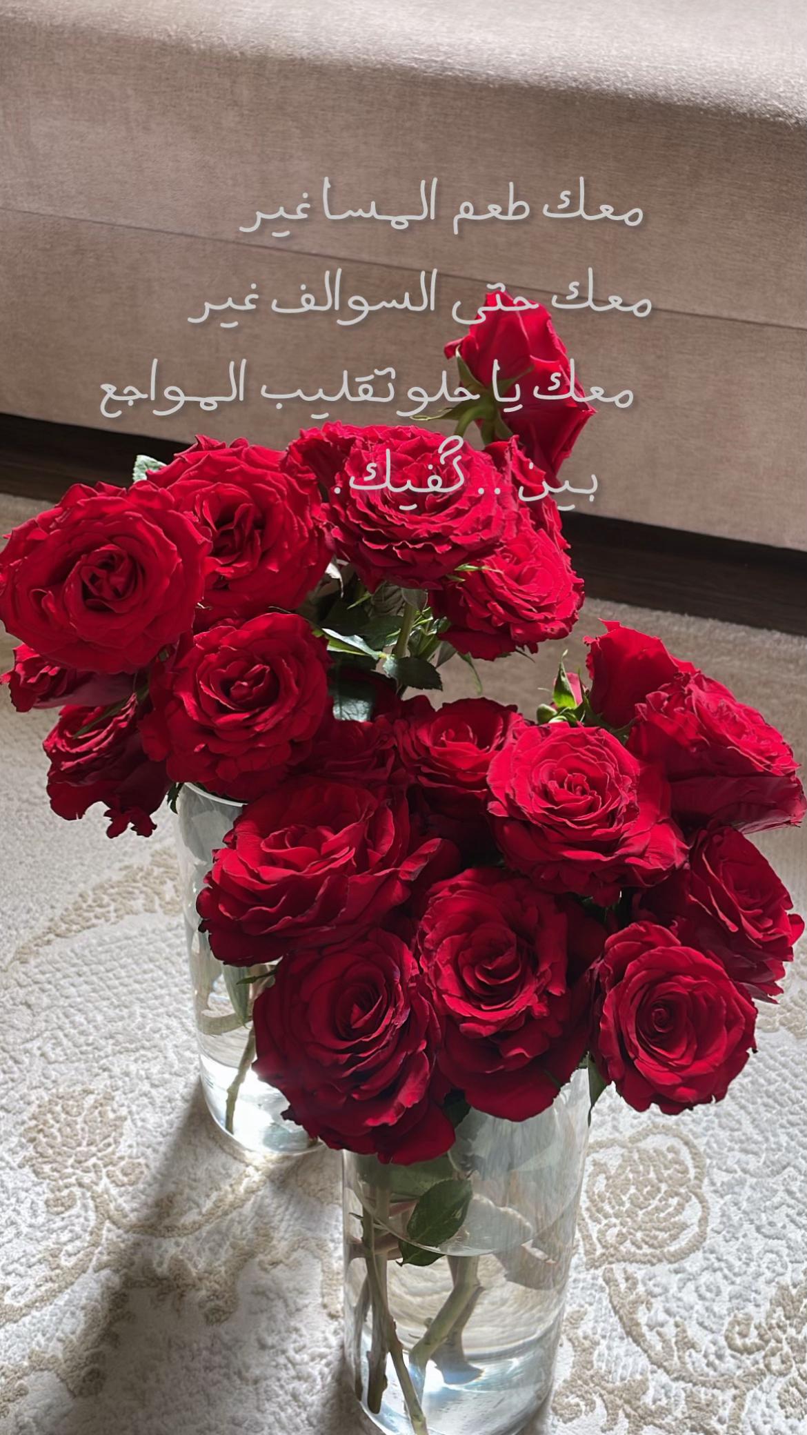 @Mayar🐼