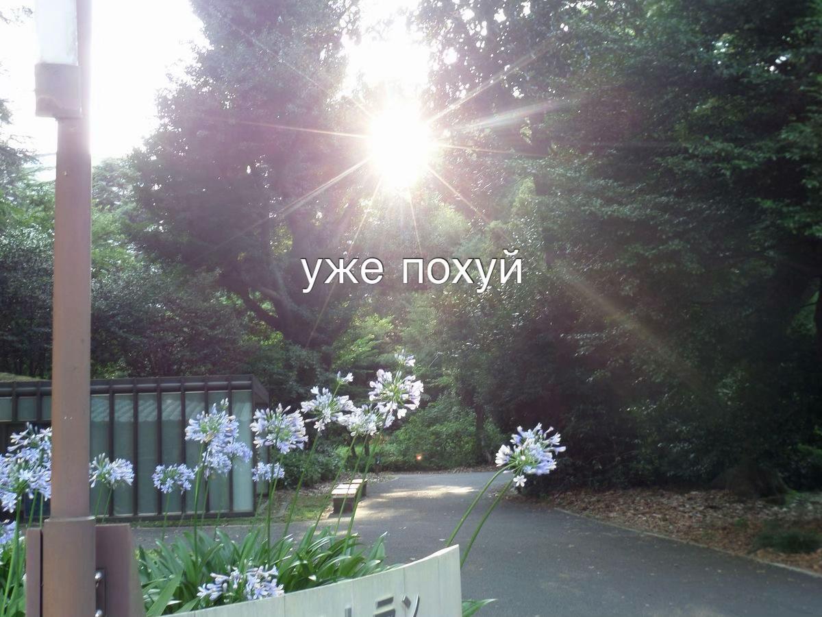 @тг: грустнобезтебя 🪶
