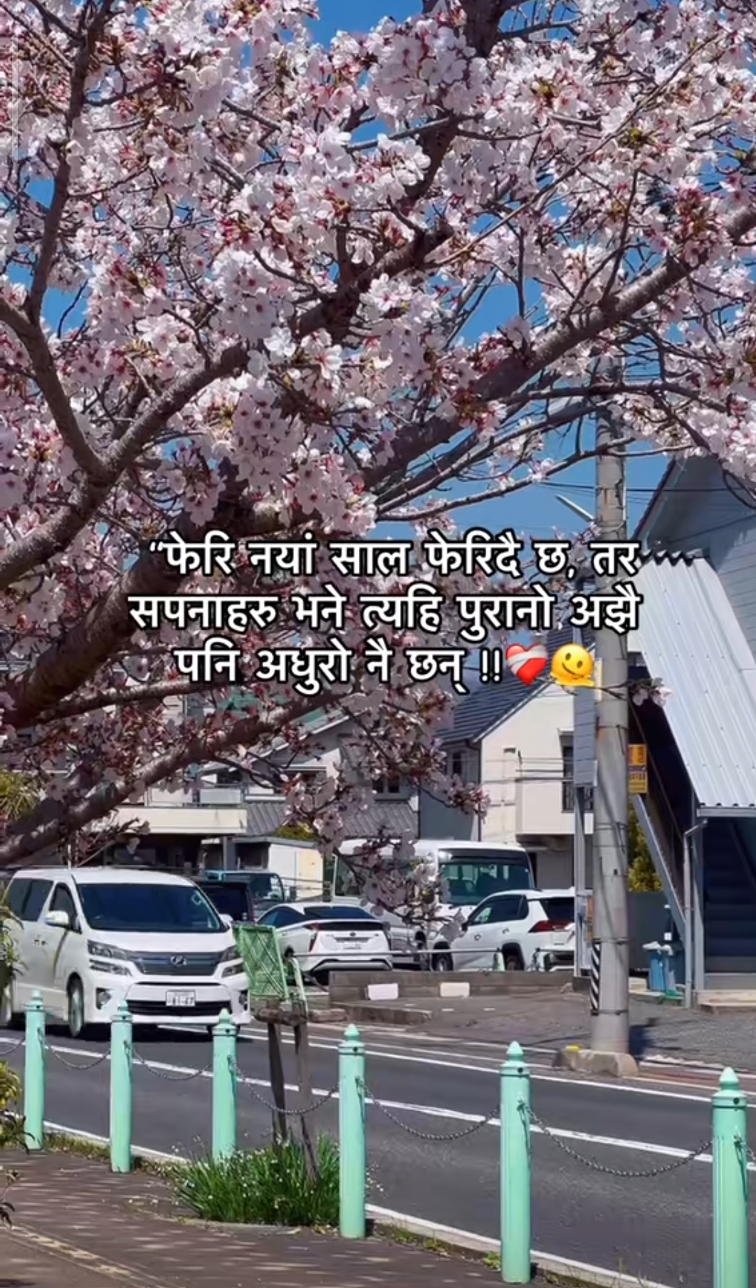 @🌹shashank🤾🤾🤾