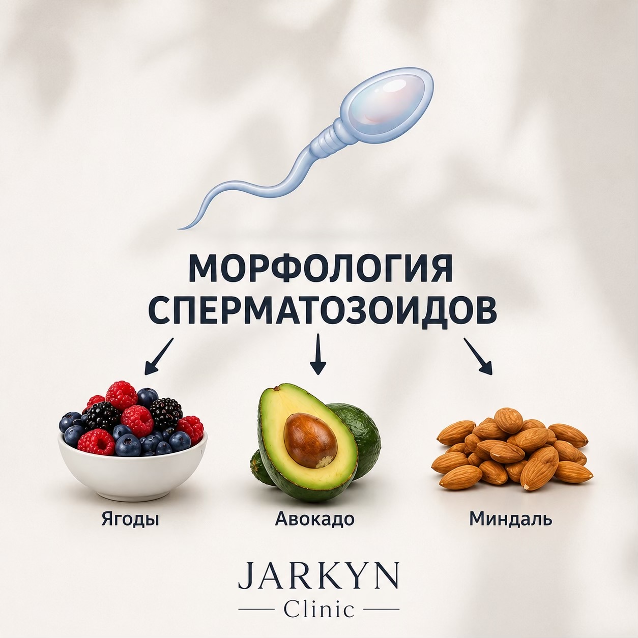 @jarkyn.clinic