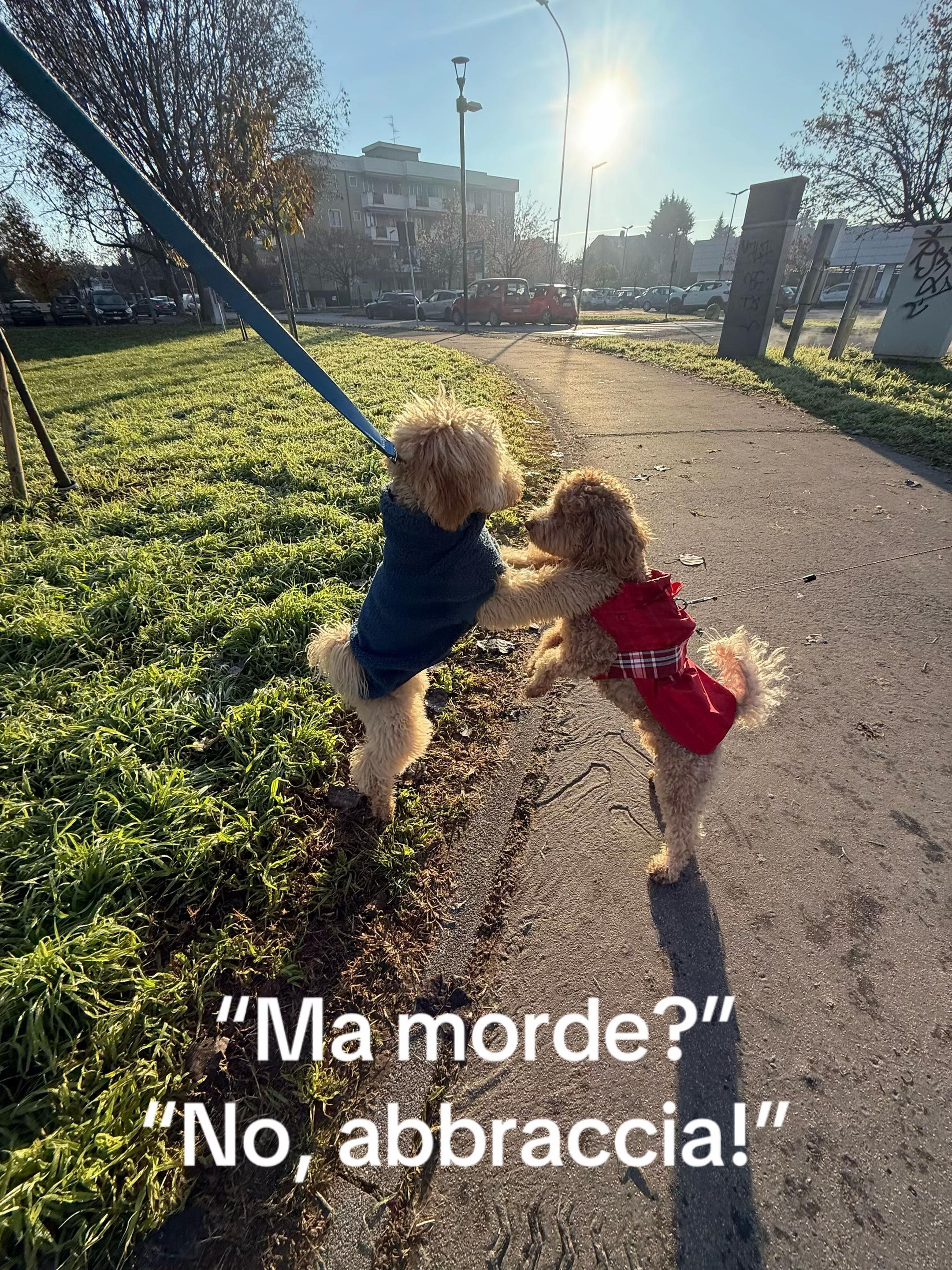 @Erika Cuccurese