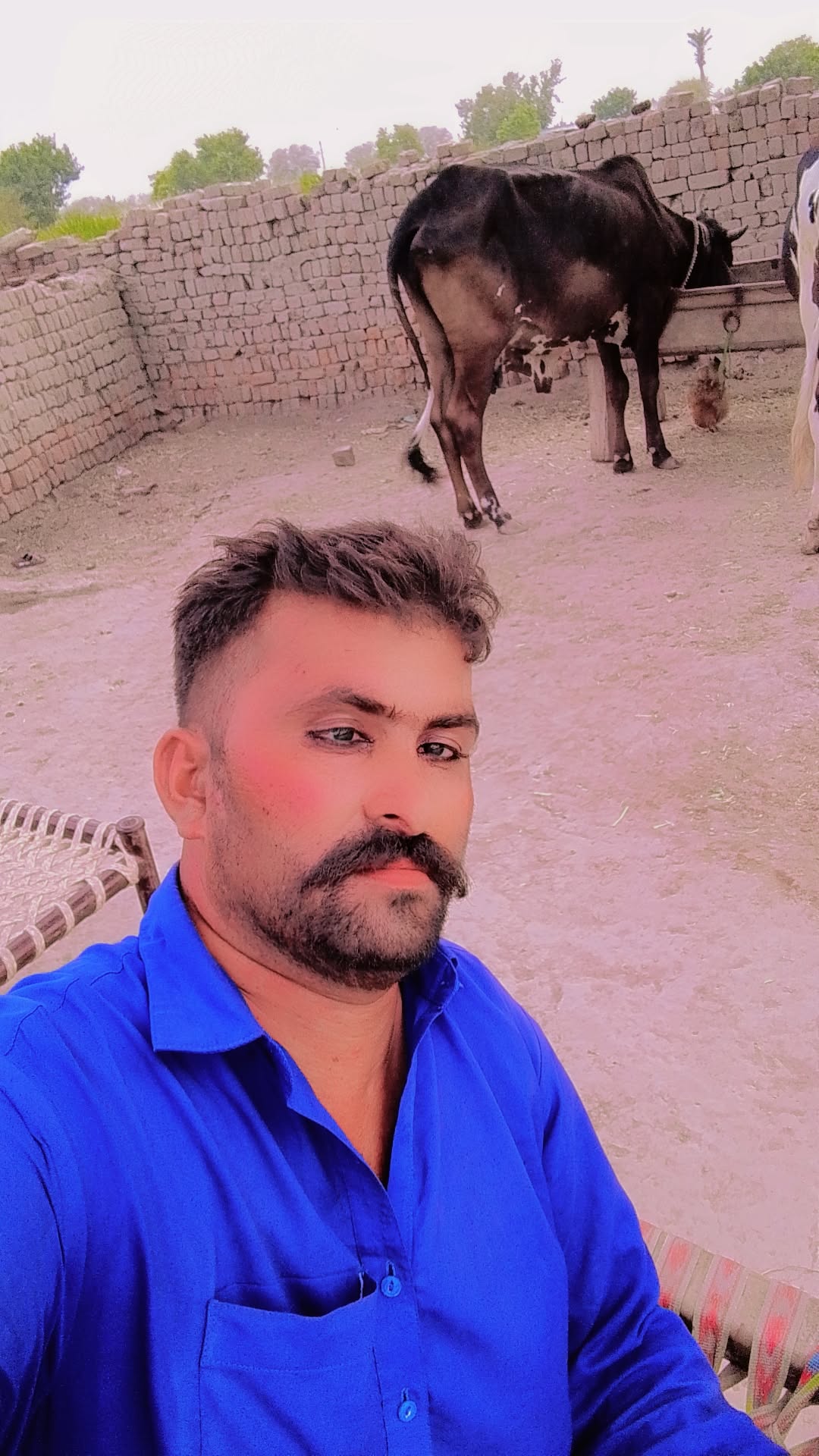 @shahid