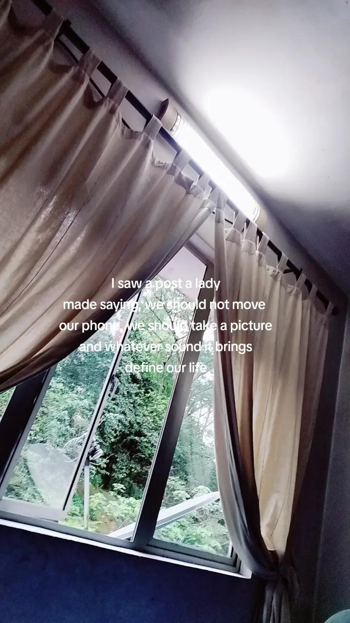 @pokok cili;