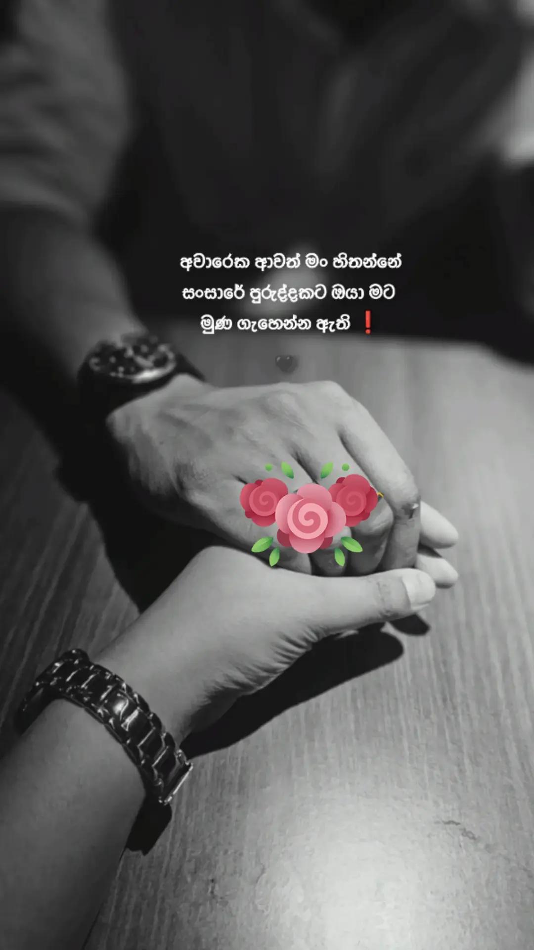 @Lasantha Sudasinghe 라산타 수다싱헤