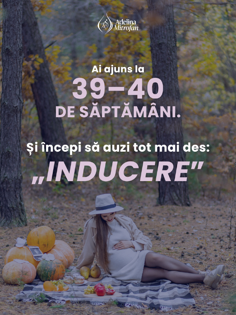 @Adelina Mitrofan