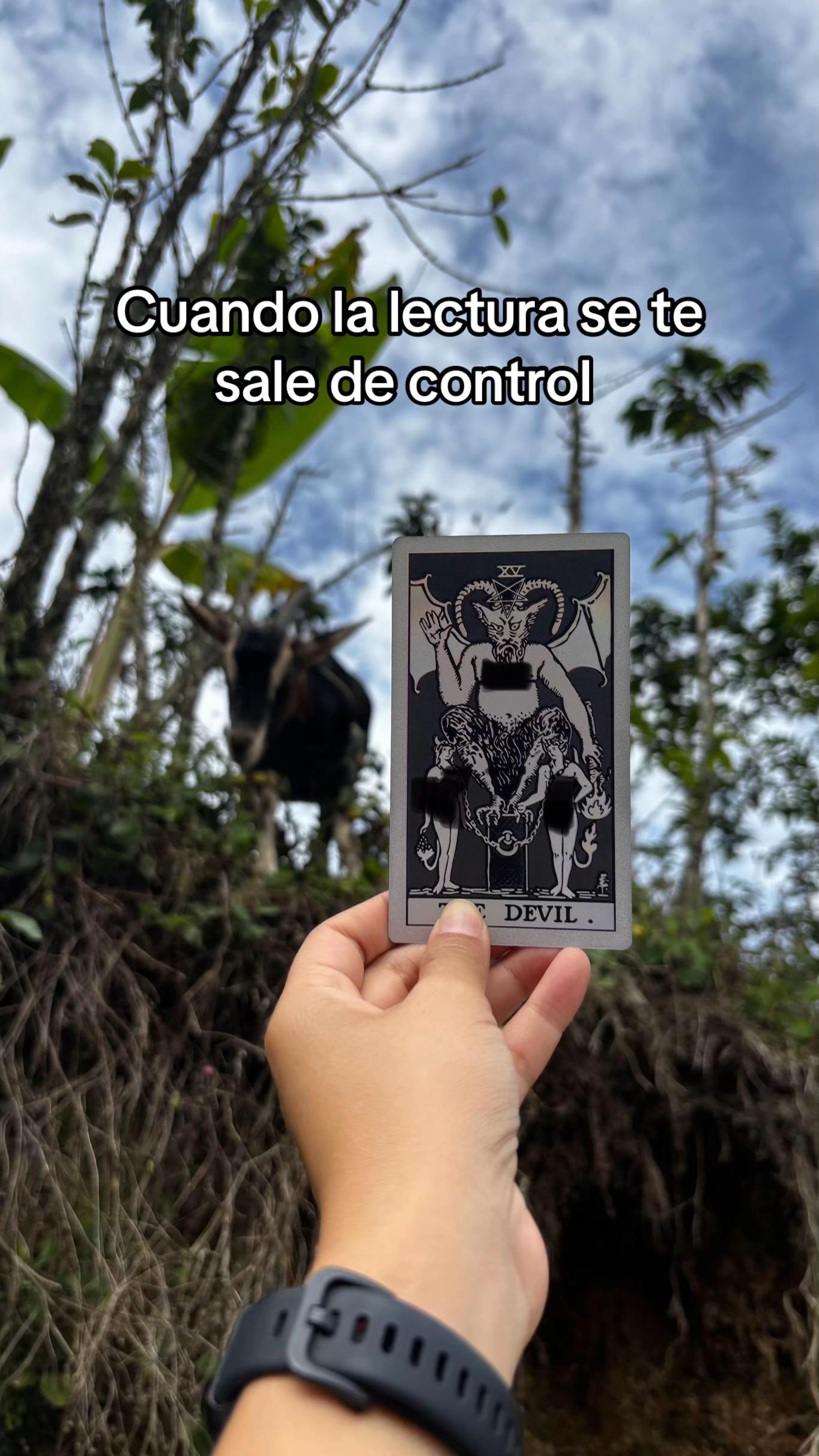 @T de Tarot