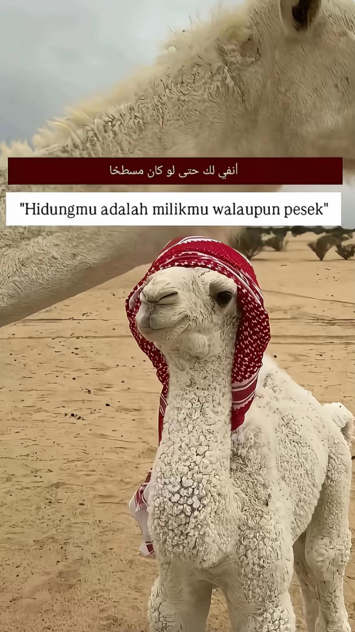 @User