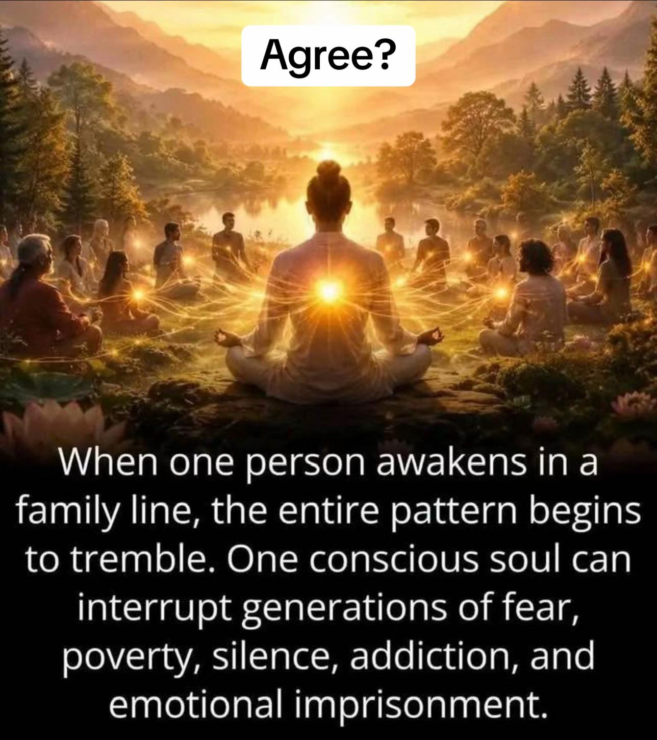@WhitePigeon Holistic Services