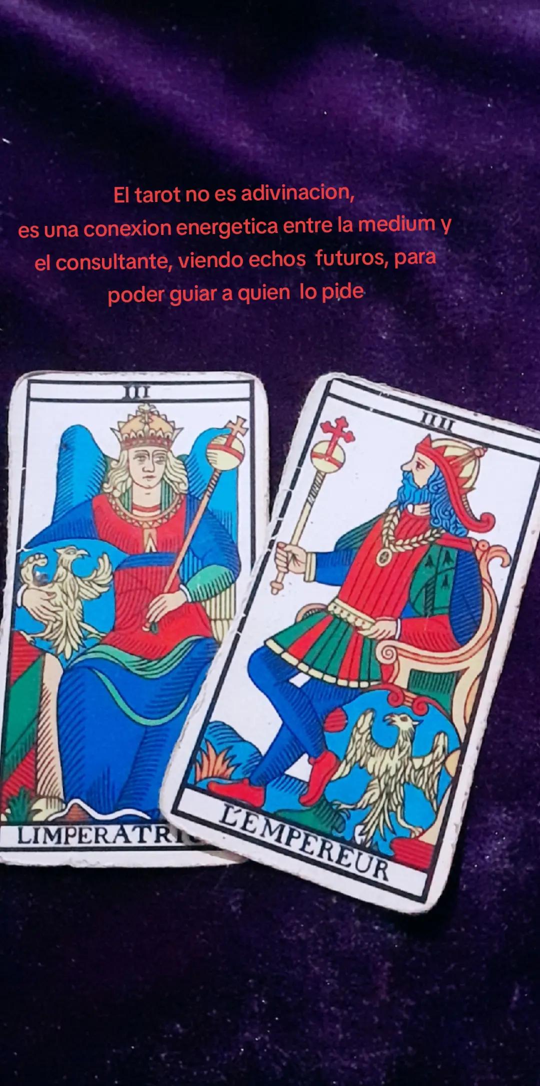 @perrito Dio y su familia
