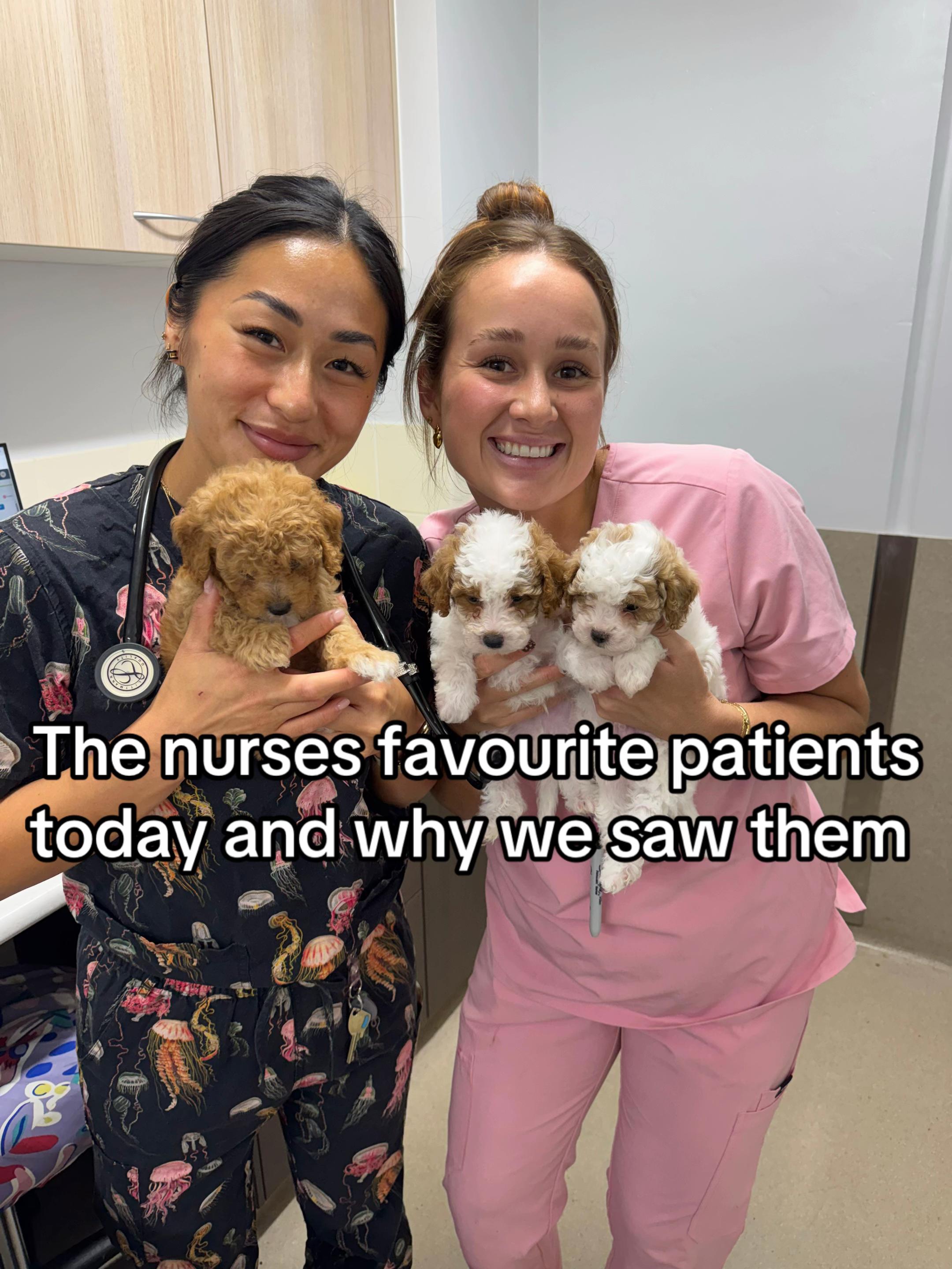 @James Street Vet