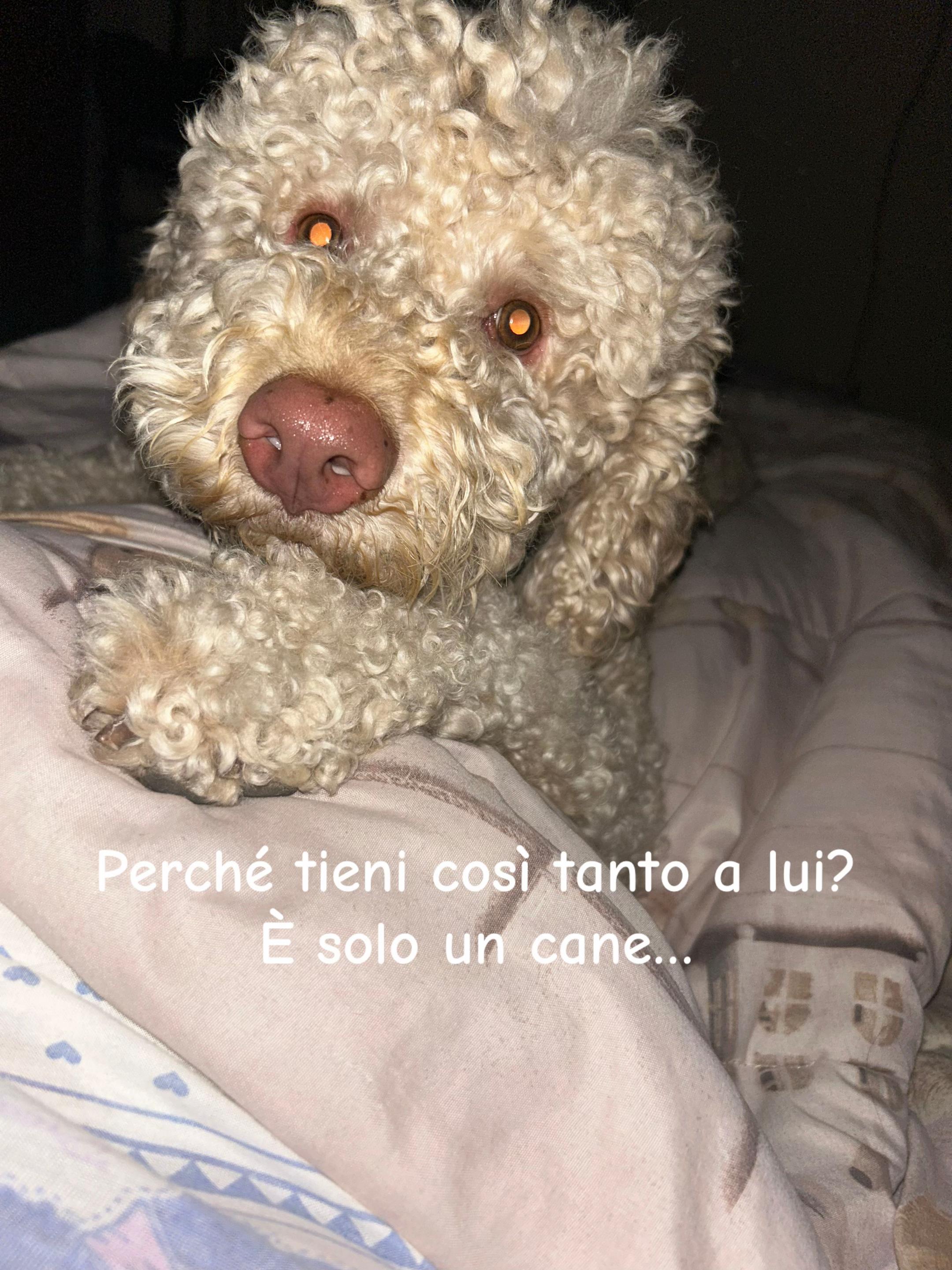 @Sara