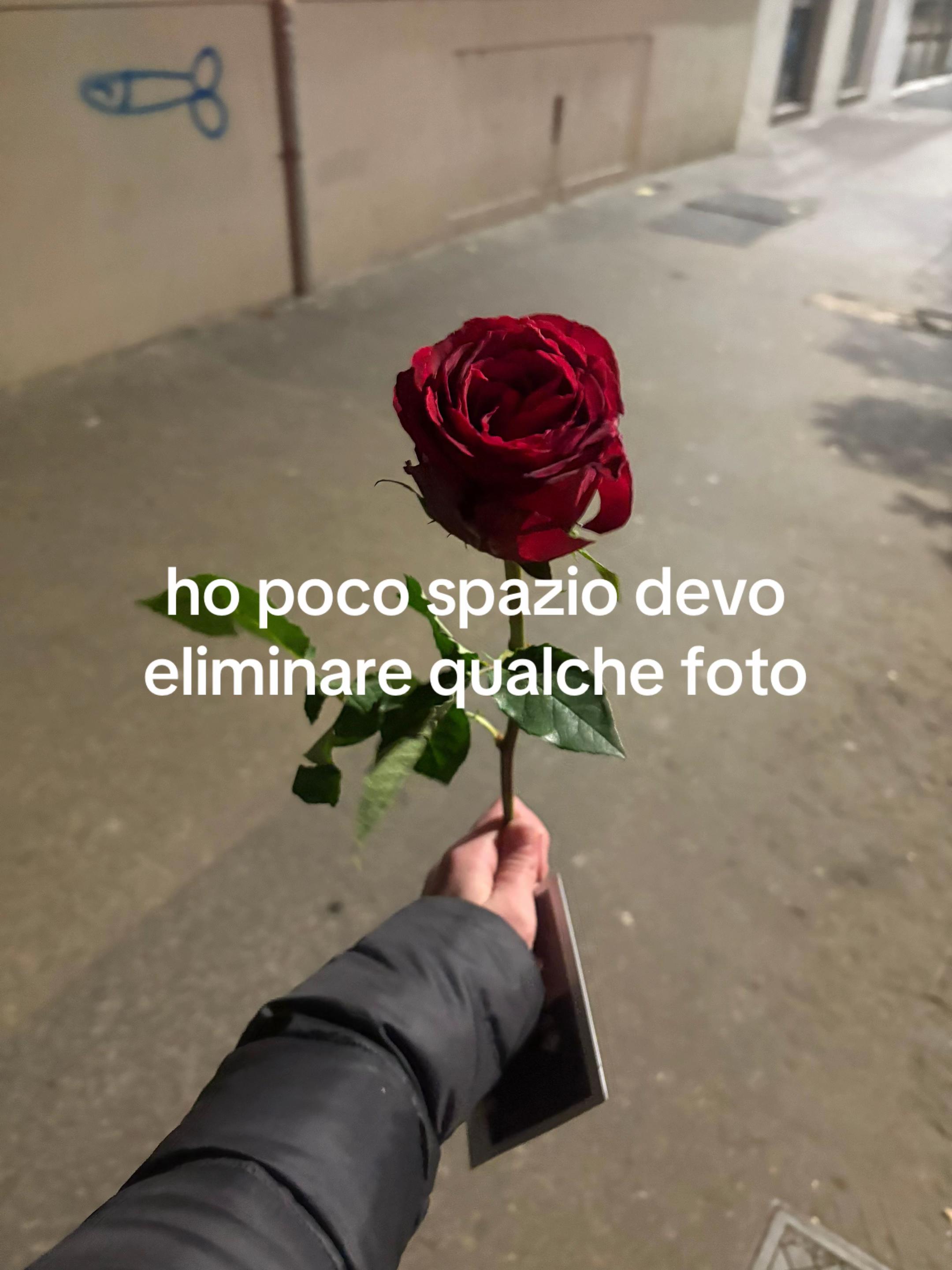 @Letizia Saronni ⭐️