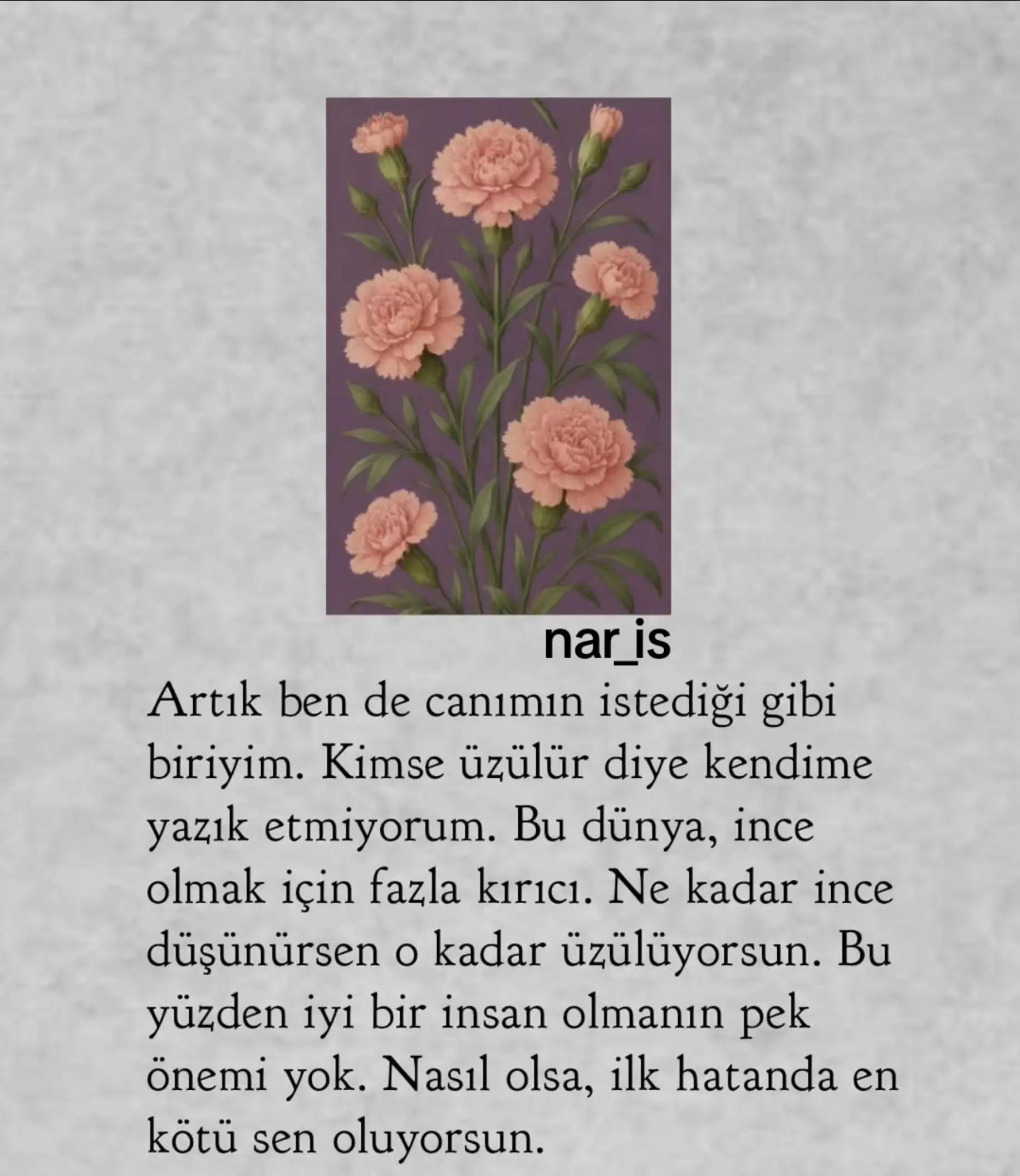 @Nar_Is♈