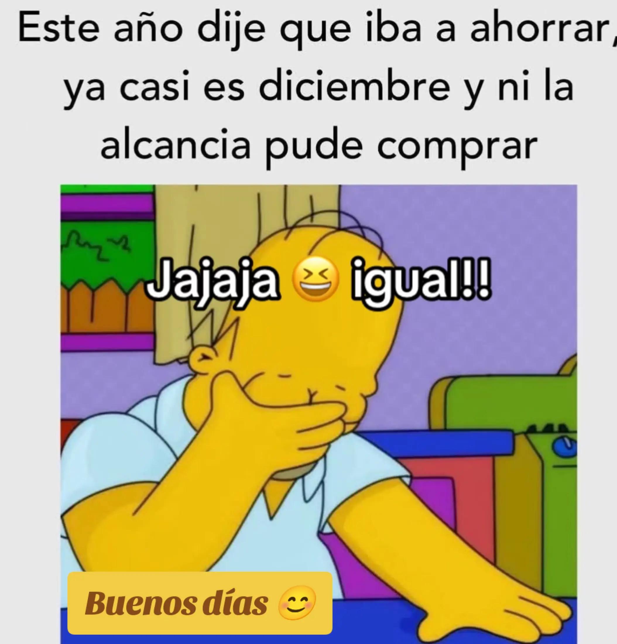 @alileiva ✨🌺🫀🧠🥂