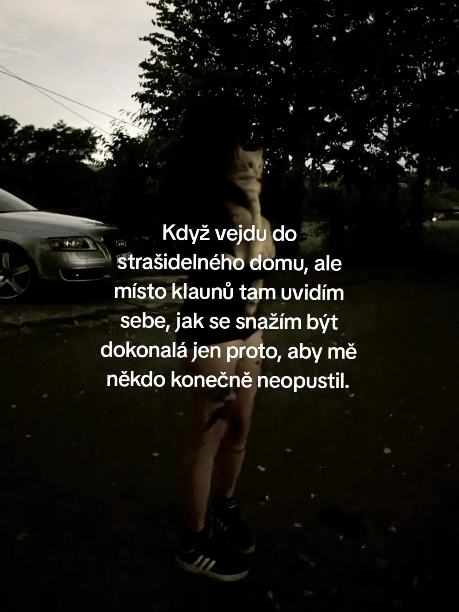 @Misa