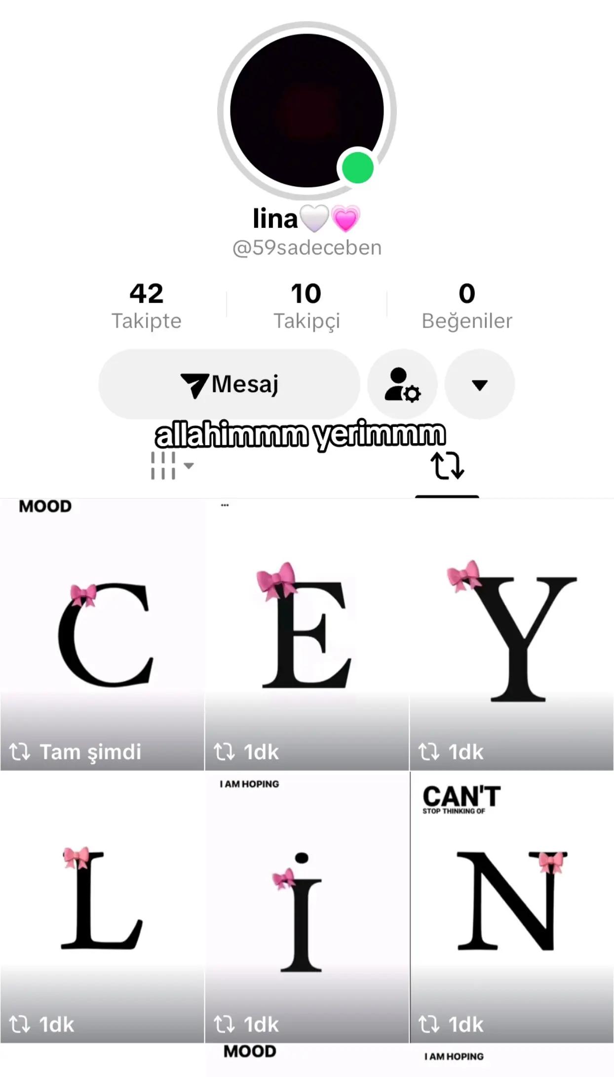 @ceylinsvs