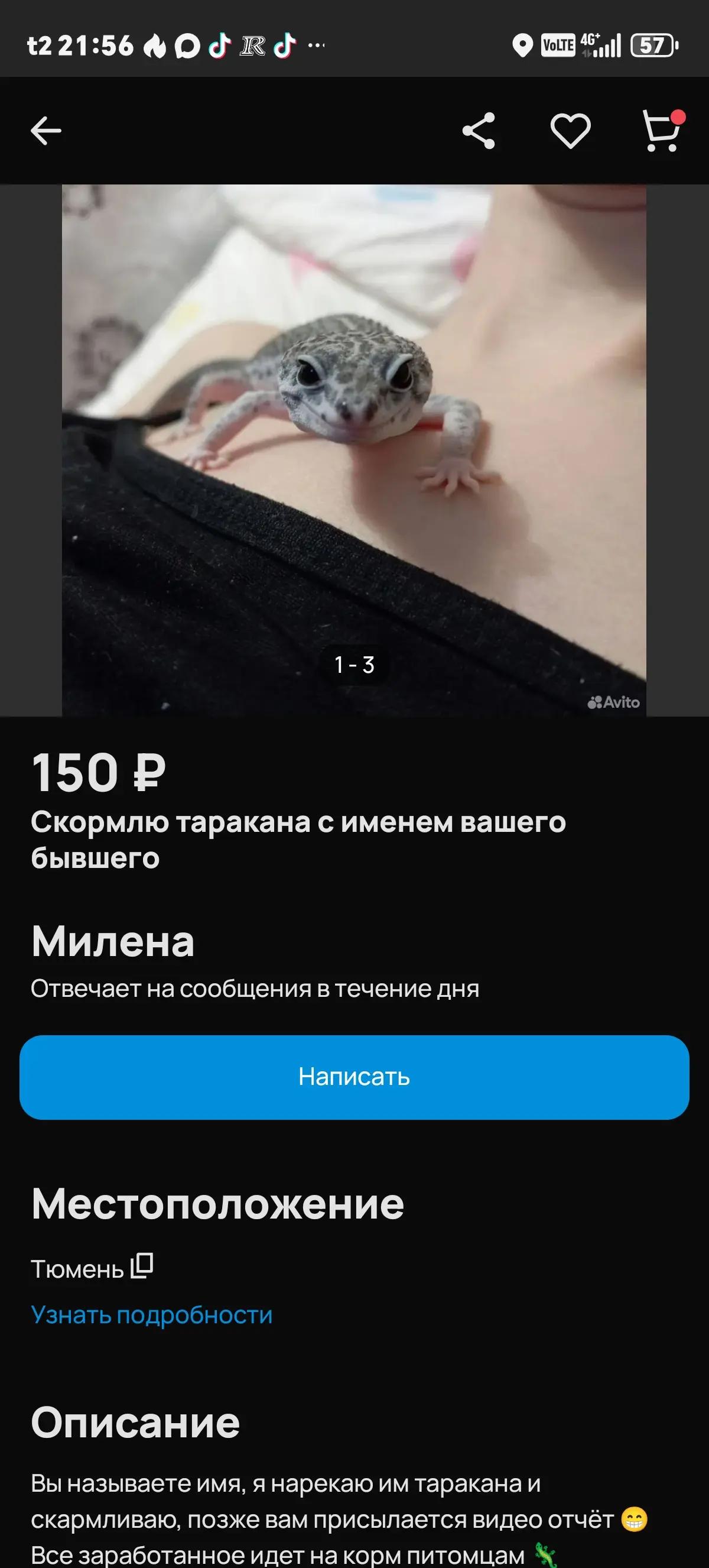 @&times;Fazeov_second&times; 🤙