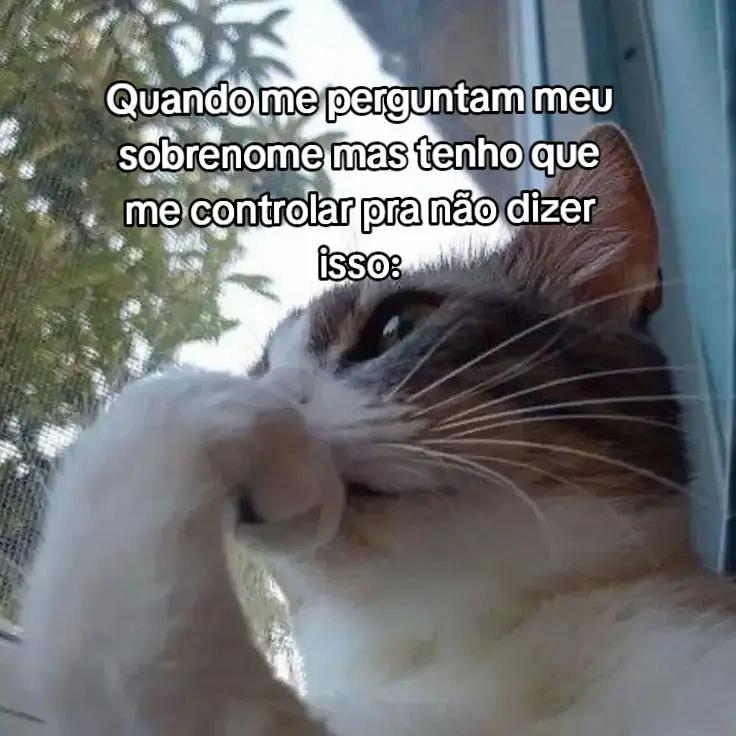 @Camarão 🦐