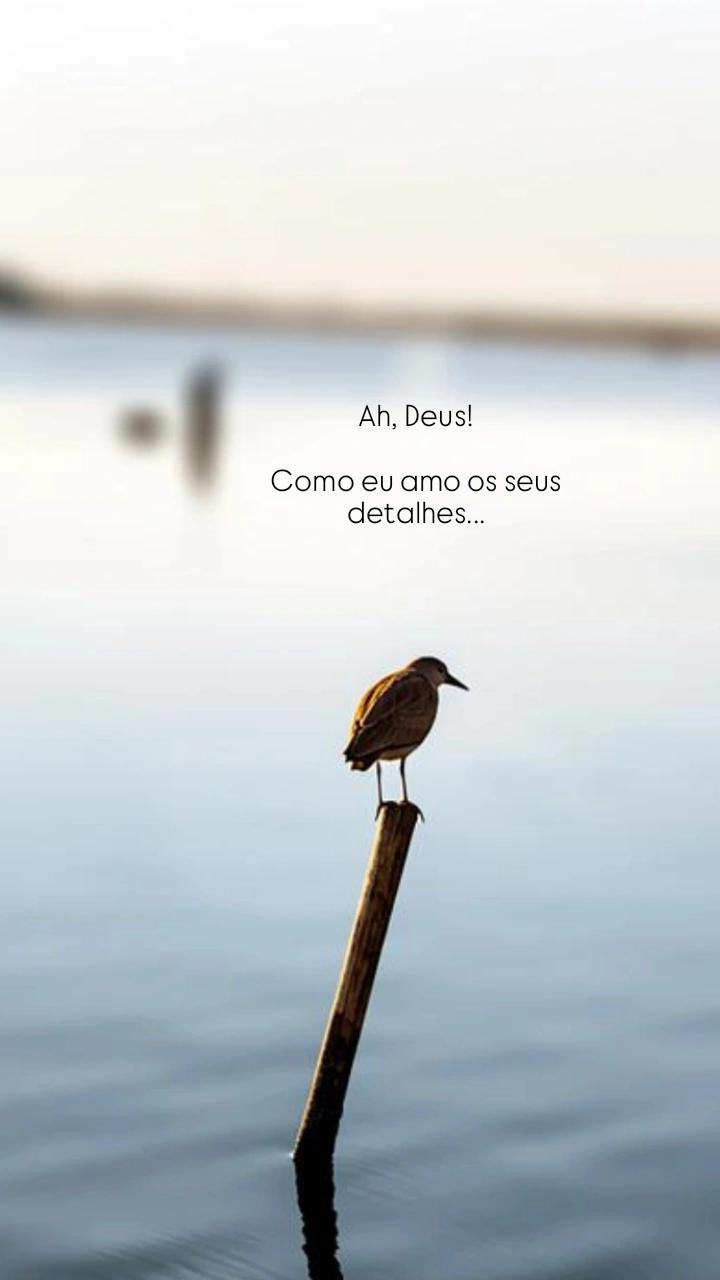 @Giovana Duarte✨