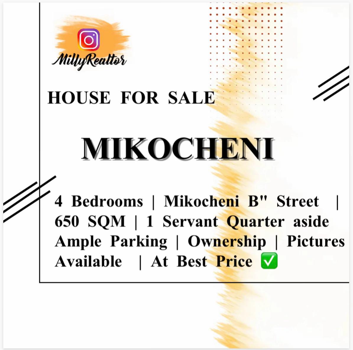 @Milly Realtor 🇹🇿