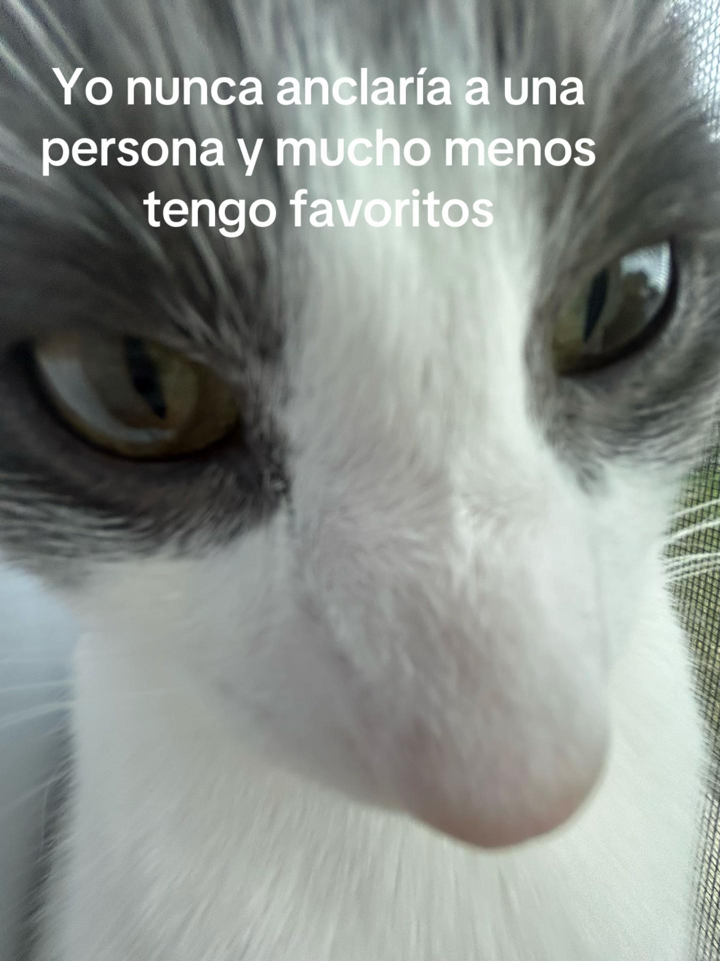 @ܔܛܔ