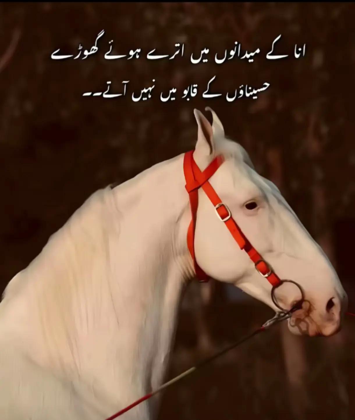 @ᒪOᐯᗴᒪY ᗷOY......2555