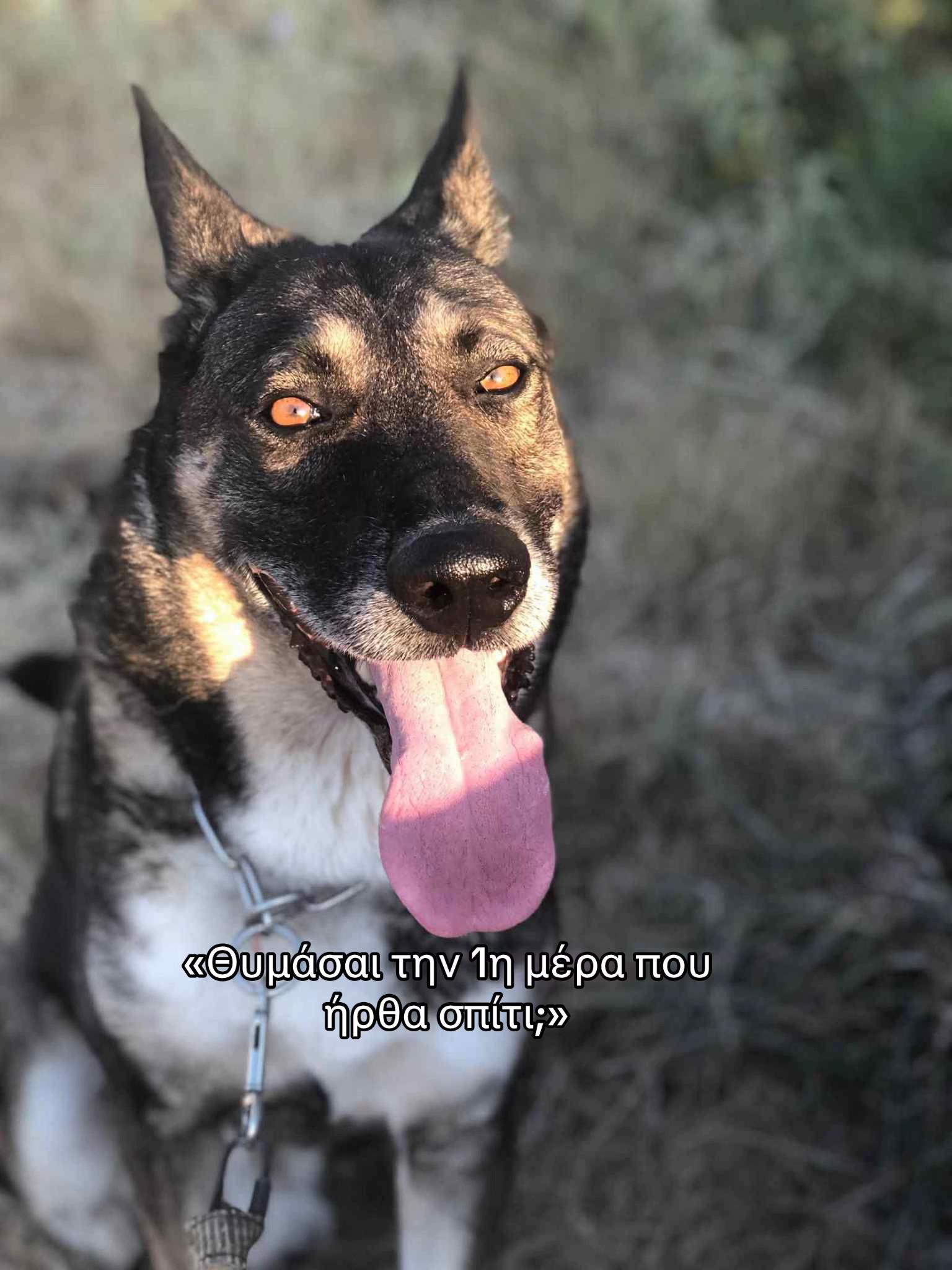 @Νικολέτα Μαρινάκη