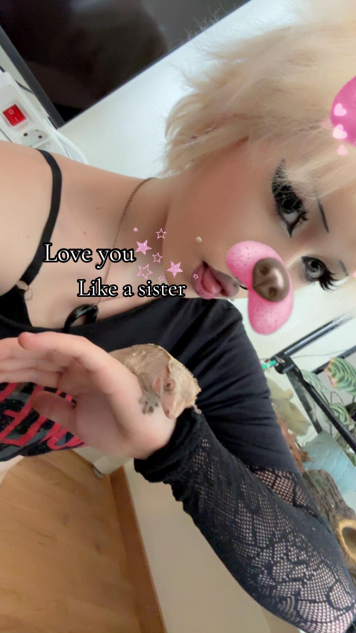 @⋆.˚✮Lou The Kitty Meow✮˚.⋆