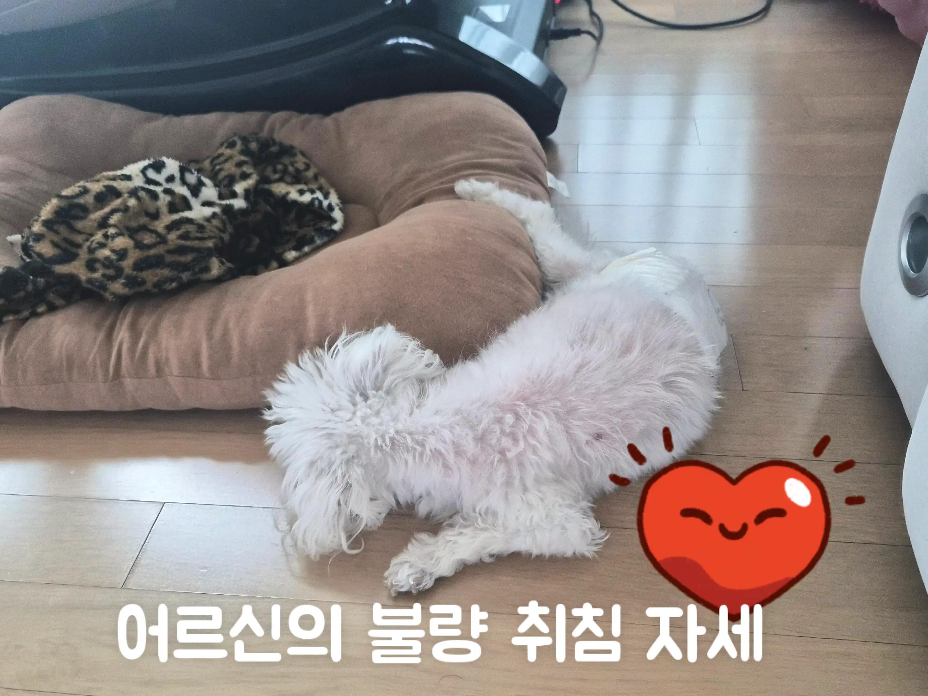 @🐎타는바린이🏍
