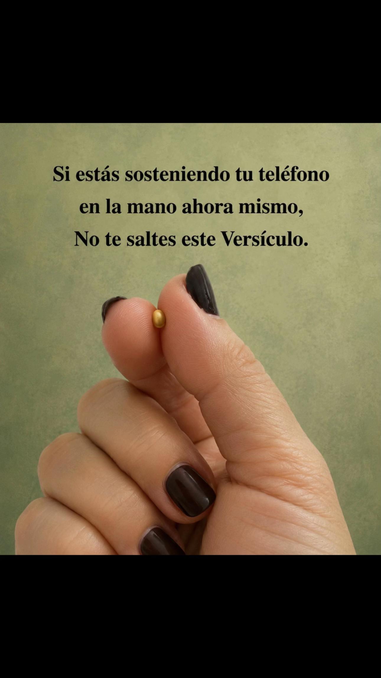 @leydisvf