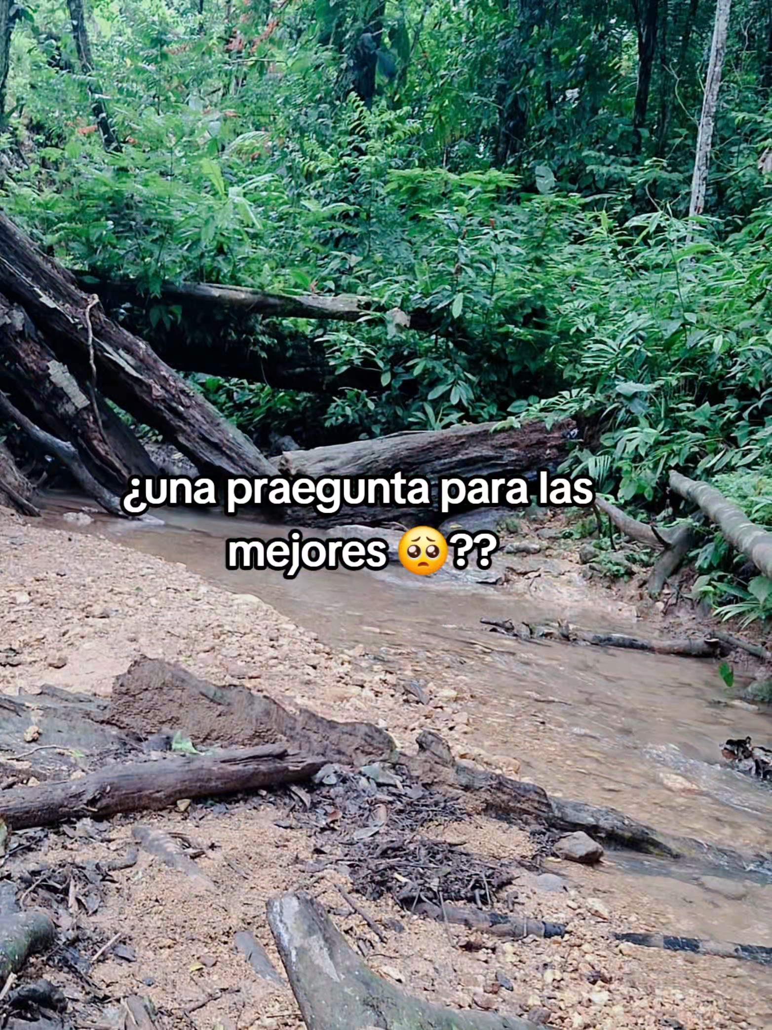 @gemelo Lopez 🥰