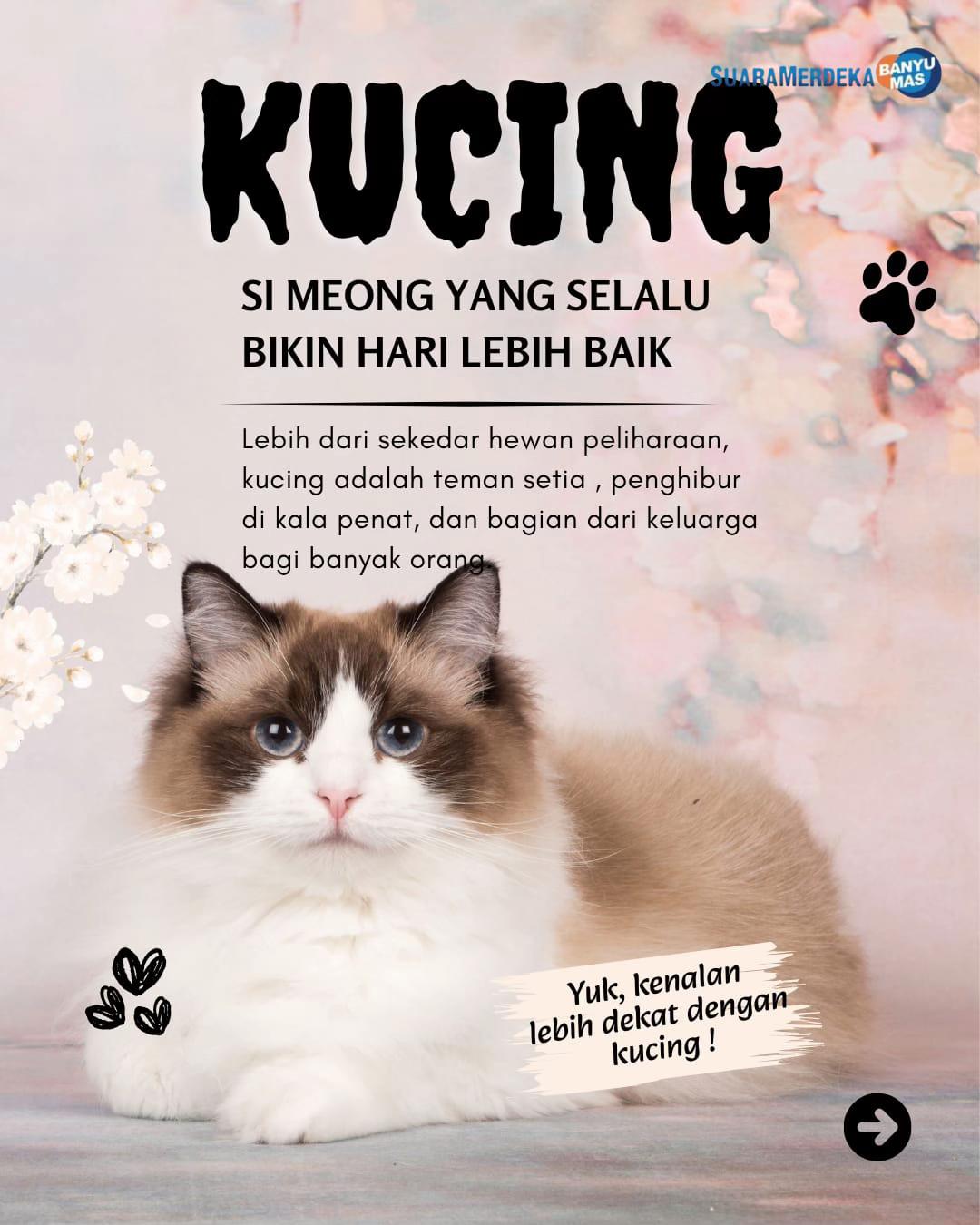 @Suara Merdeka