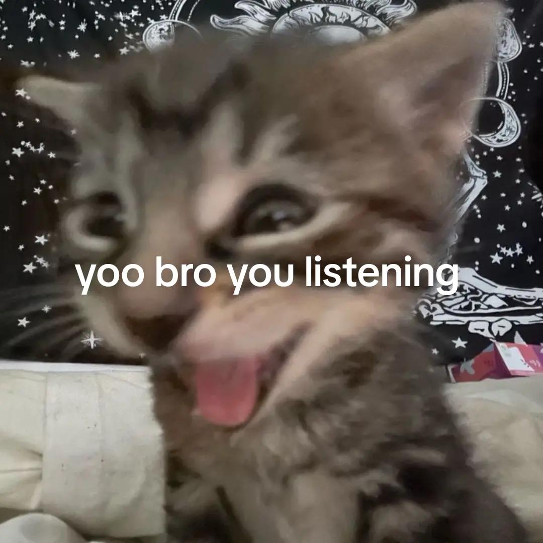 @𝓡𝓮𝓭 𝓿𝓮𝓵𝓿𝓮𝓽。‧˚ʚ🐇ɞ˚‧。