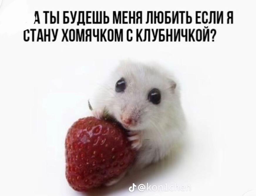 @kittyfloyqwq