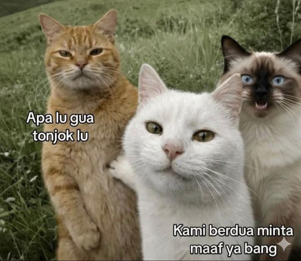 @Mellllllll