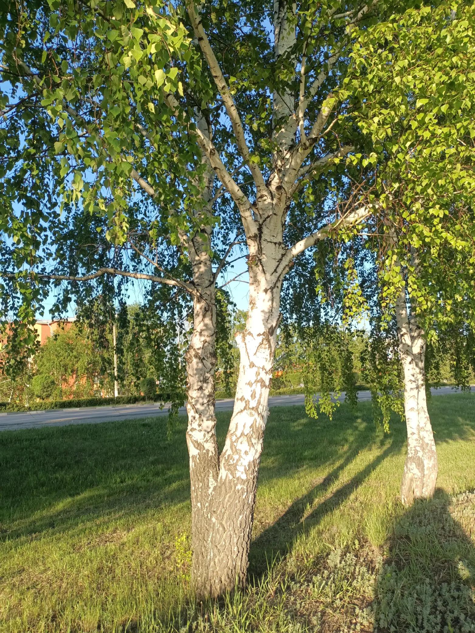 @О смысле жизни