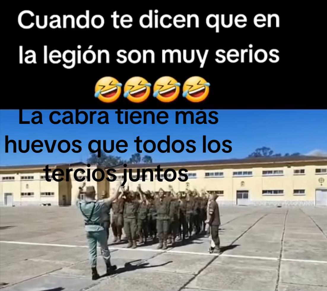 @mairam19712