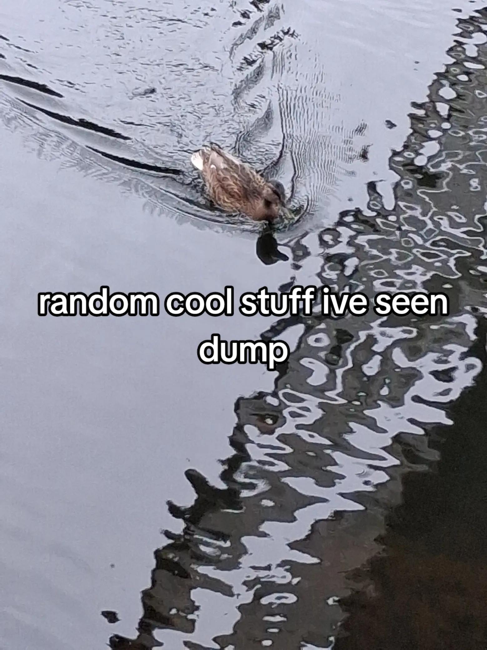 @Dylan's PrettyFlyForAWhiteGuy