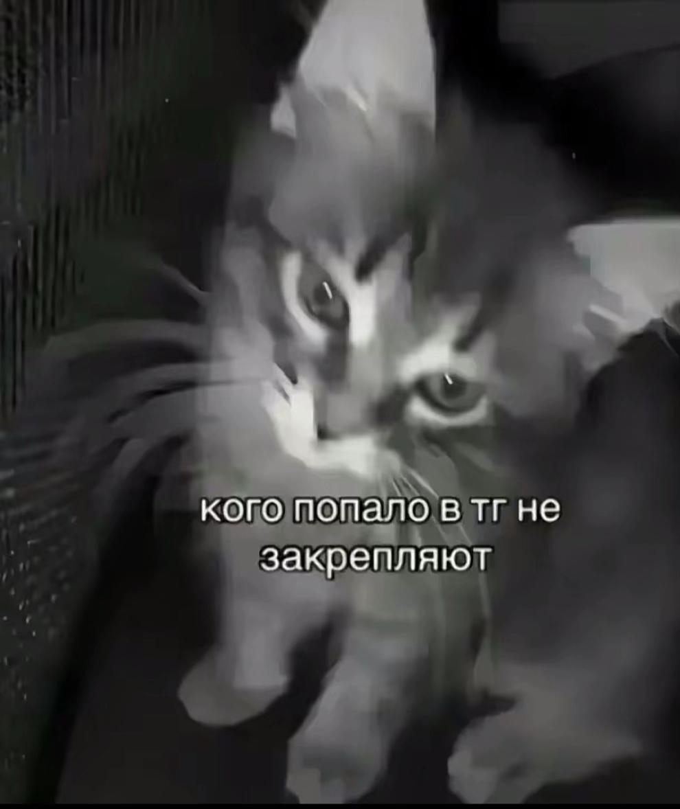 @тгк:дам да дарарарам 💘