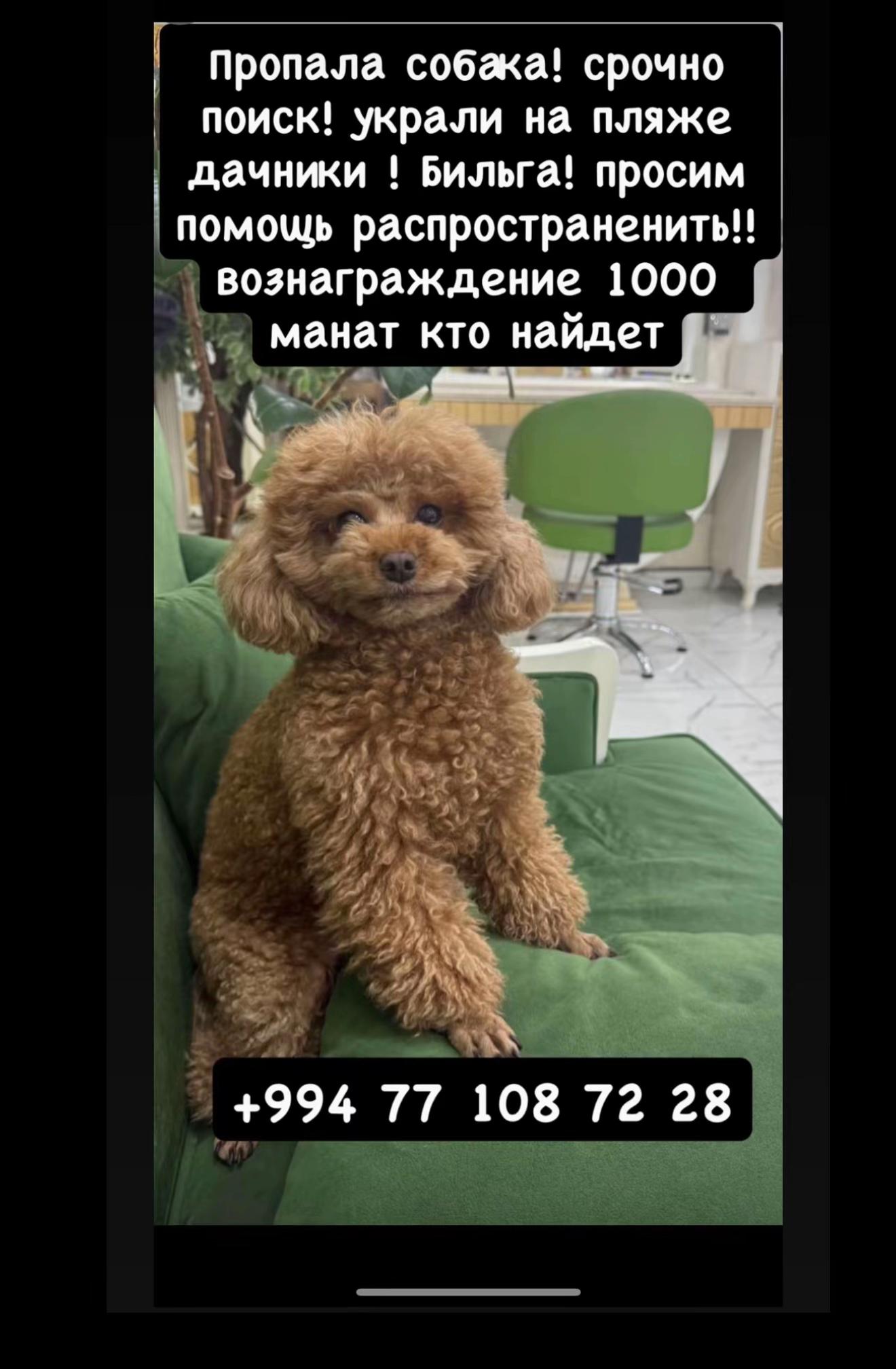 @Диана ♥️