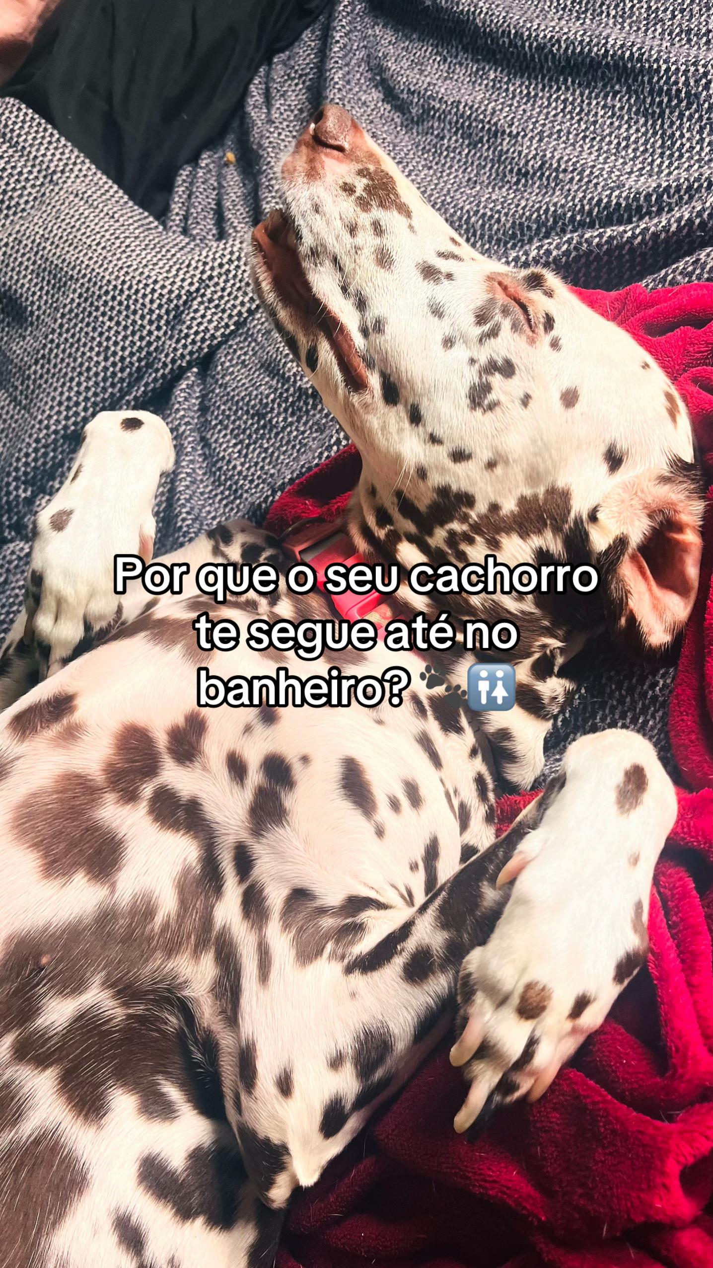 @Margô e Jude