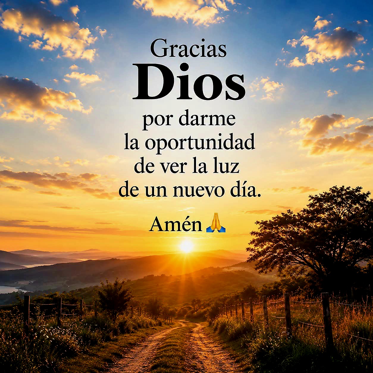 @hola, hola
