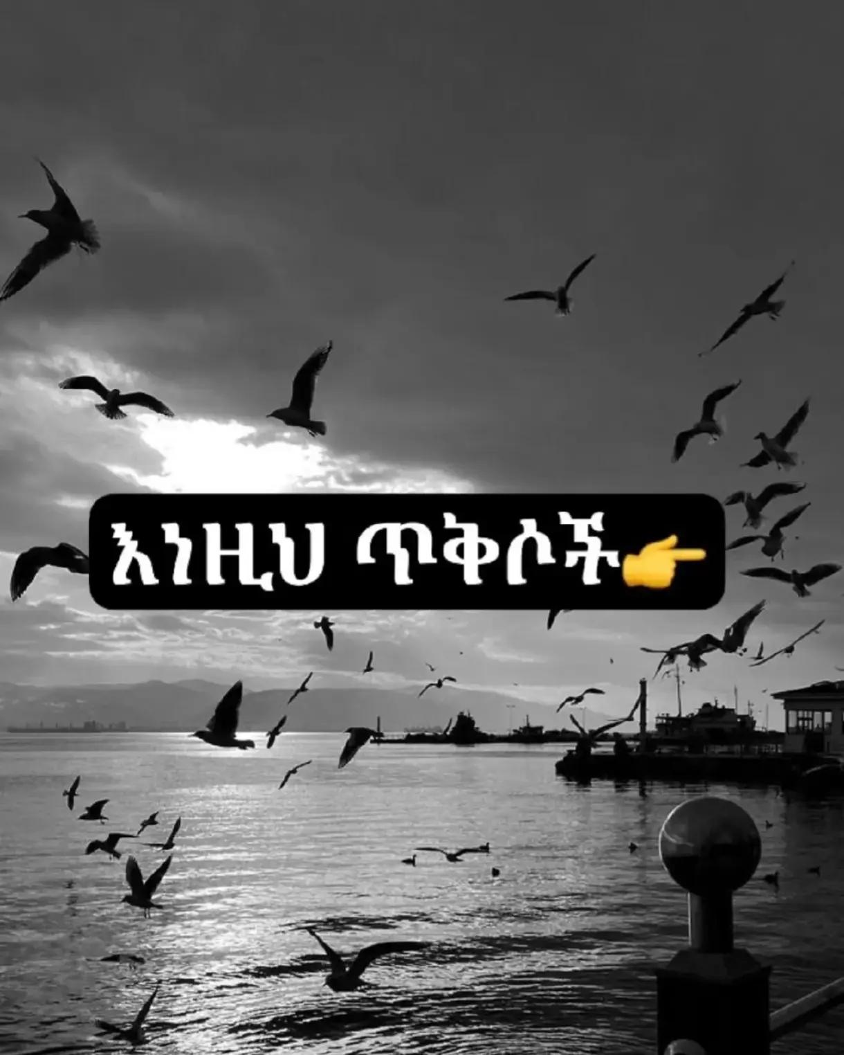 @bitaniyaโค๏ธ๐ฅโค๏ธ๐ฅ