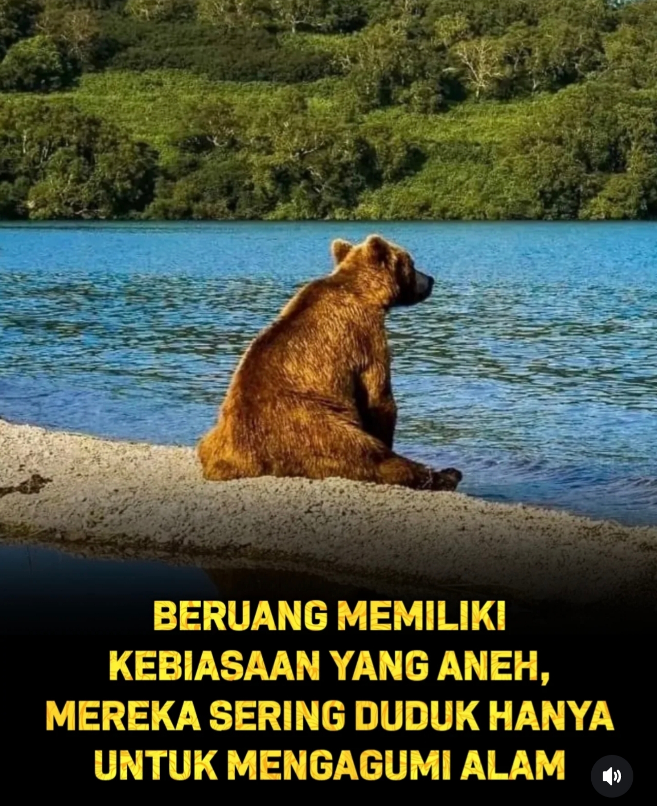 @Abukar&auml;fah