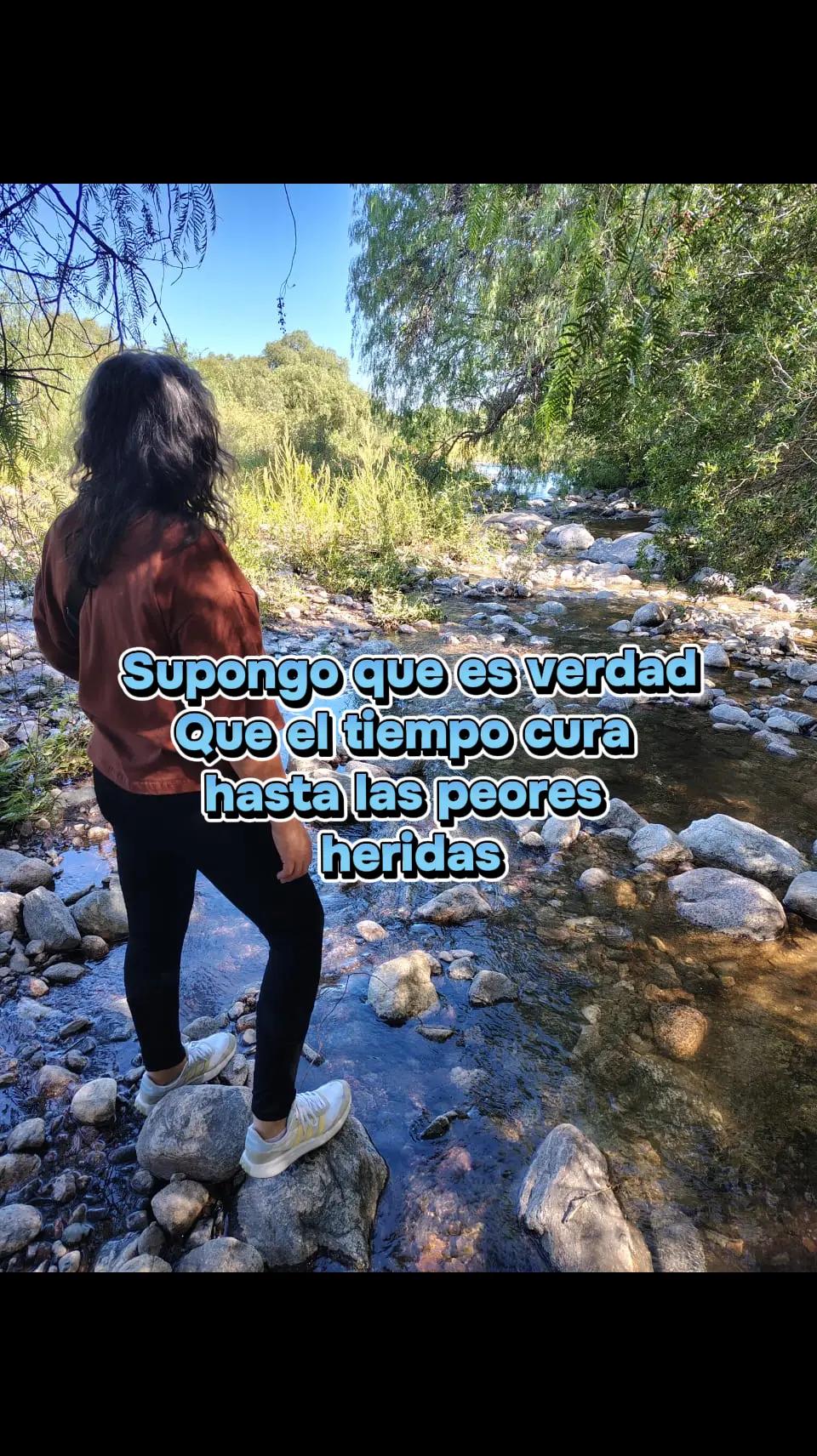 @veronica torres