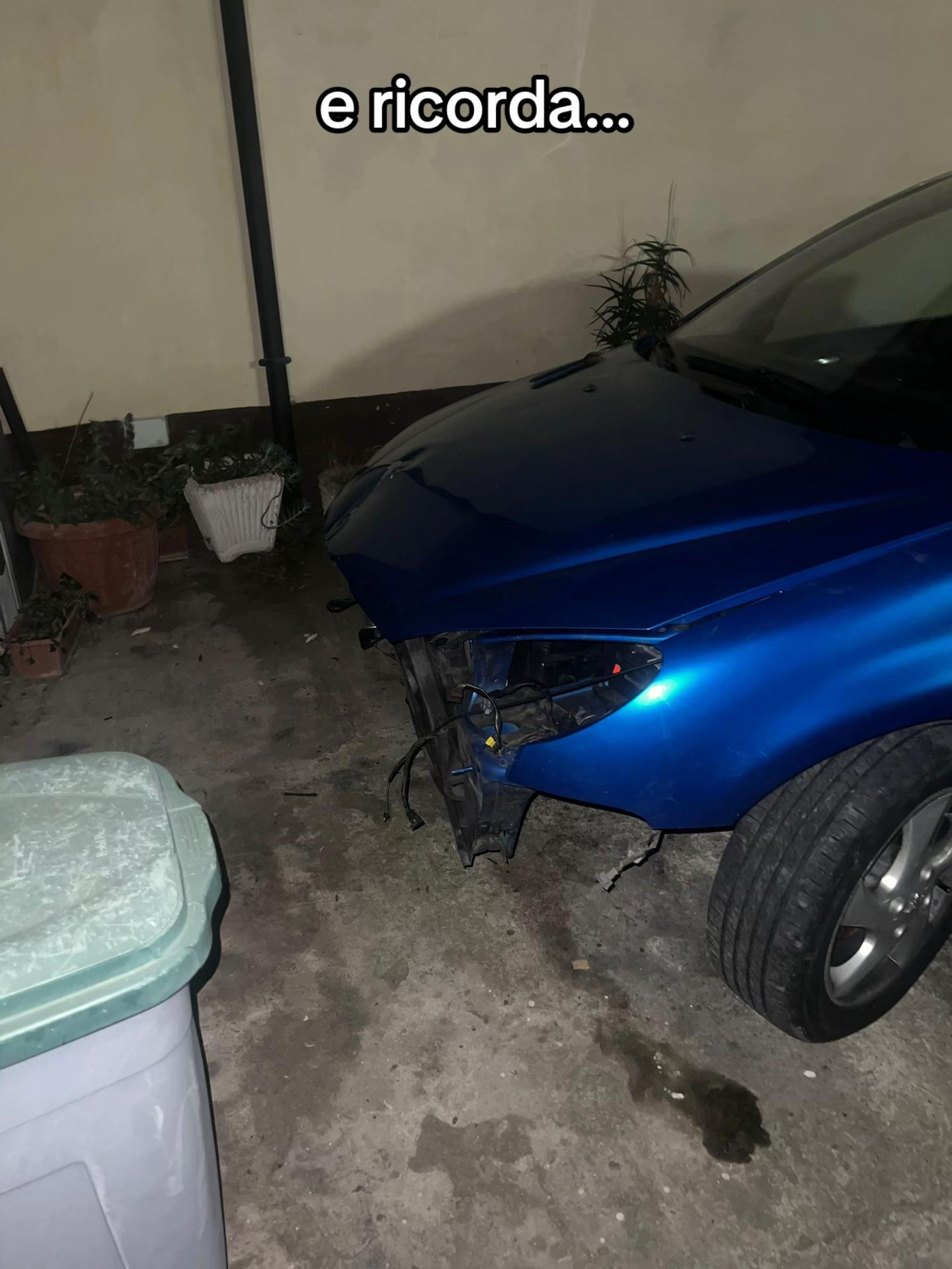 @peugeottino_blu