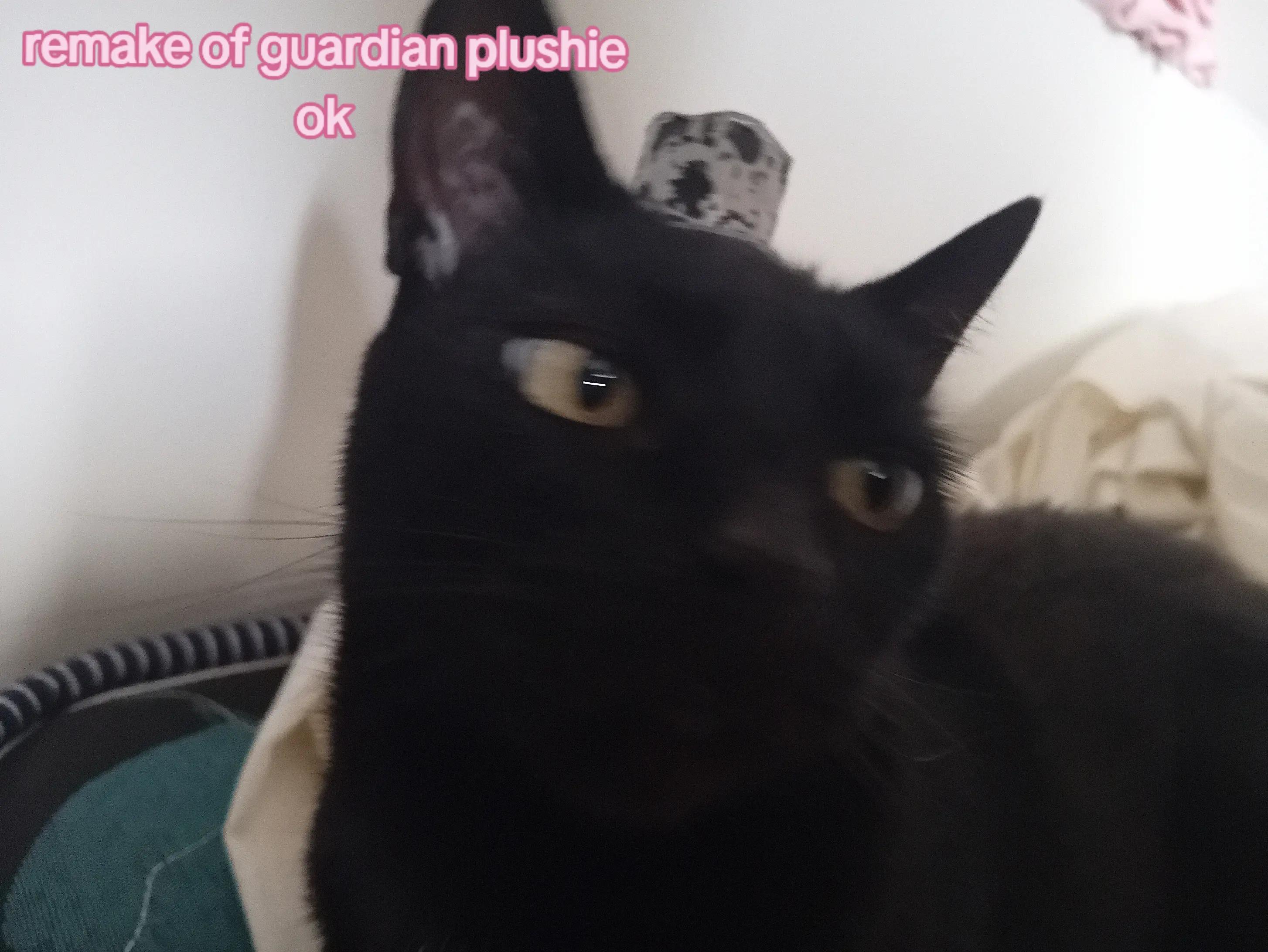 @𝕾ᥙᥴrᥱ𝒋᥆ᥙ.ᥡօցᥙr𝗍 ⸝⸝&circ; ﻌ &circ;⸝⸝